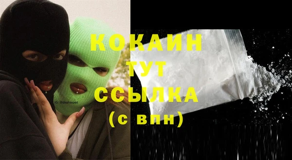 дмт Лабытнанги