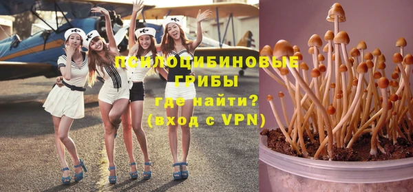 дмт Лабытнанги