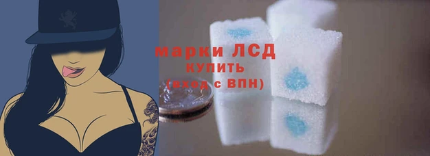 дмт Лабытнанги