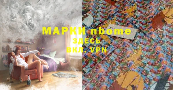 дмт Лабытнанги
