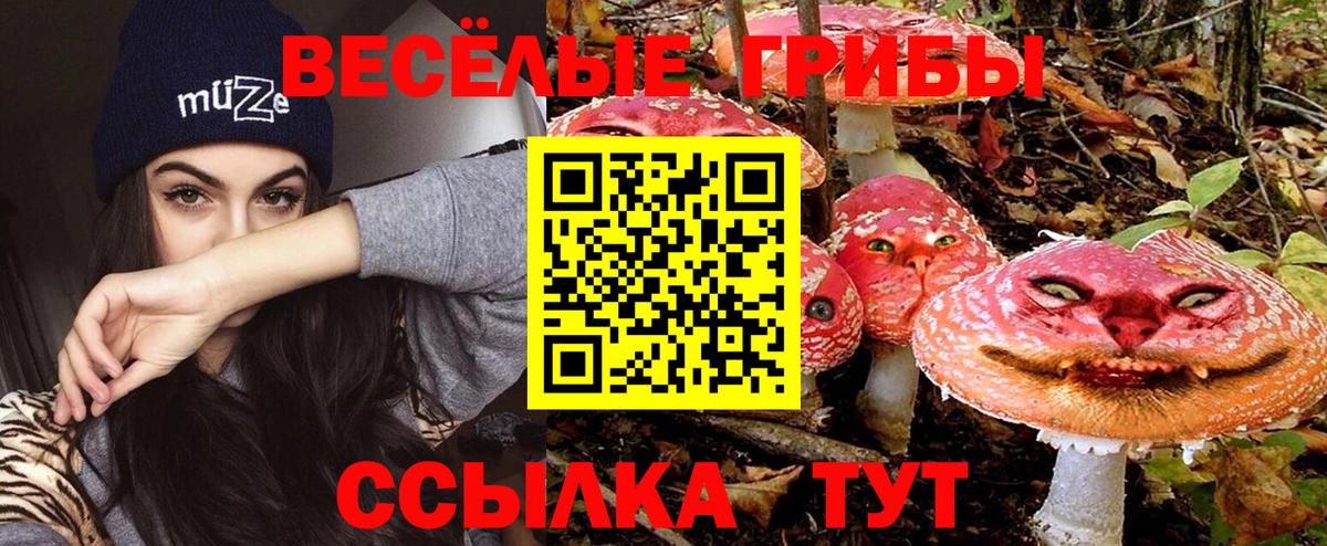 Галлюциногенные грибы Psilocybe  Вход с VPN  купить  цена  Сызрань 